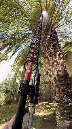 Jardinería Soriano   Poda en altura, desbroces, mantenimientos, diseños, riegos, plagas, tratamientos palmeras,, césped artificial  Jardineria Barcelona Jardineria en Barcelona Jardinero Barcelona  Jardinero en Barcelona Poda en altura en Barcelona
