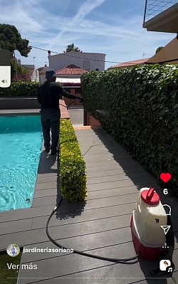 Jardinería Soriano   Poda en altura, desbroces, mantenimientos, diseños, riegos, plagas, tratamientos palmeras,, césped artificial  Jardineria Barcelona Jardineria en Barcelona Jardinero Barcelona  Jardinero en Barcelona Poda en altura en Barcelona